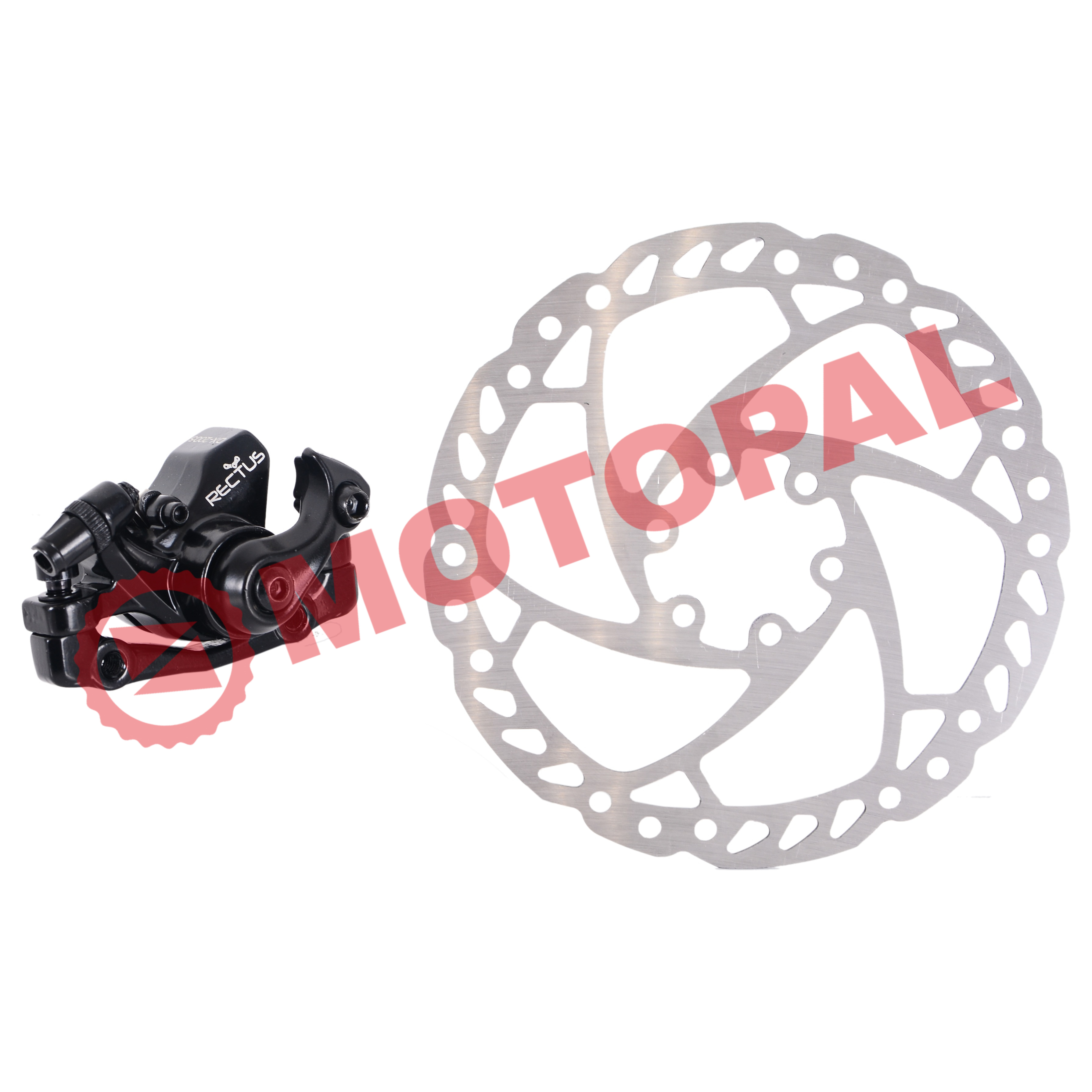 DİSK FREN ÖN + ROTOR [160MM] RECTUS  [LOGAN DX-2005] - RKS MX25-RSIII