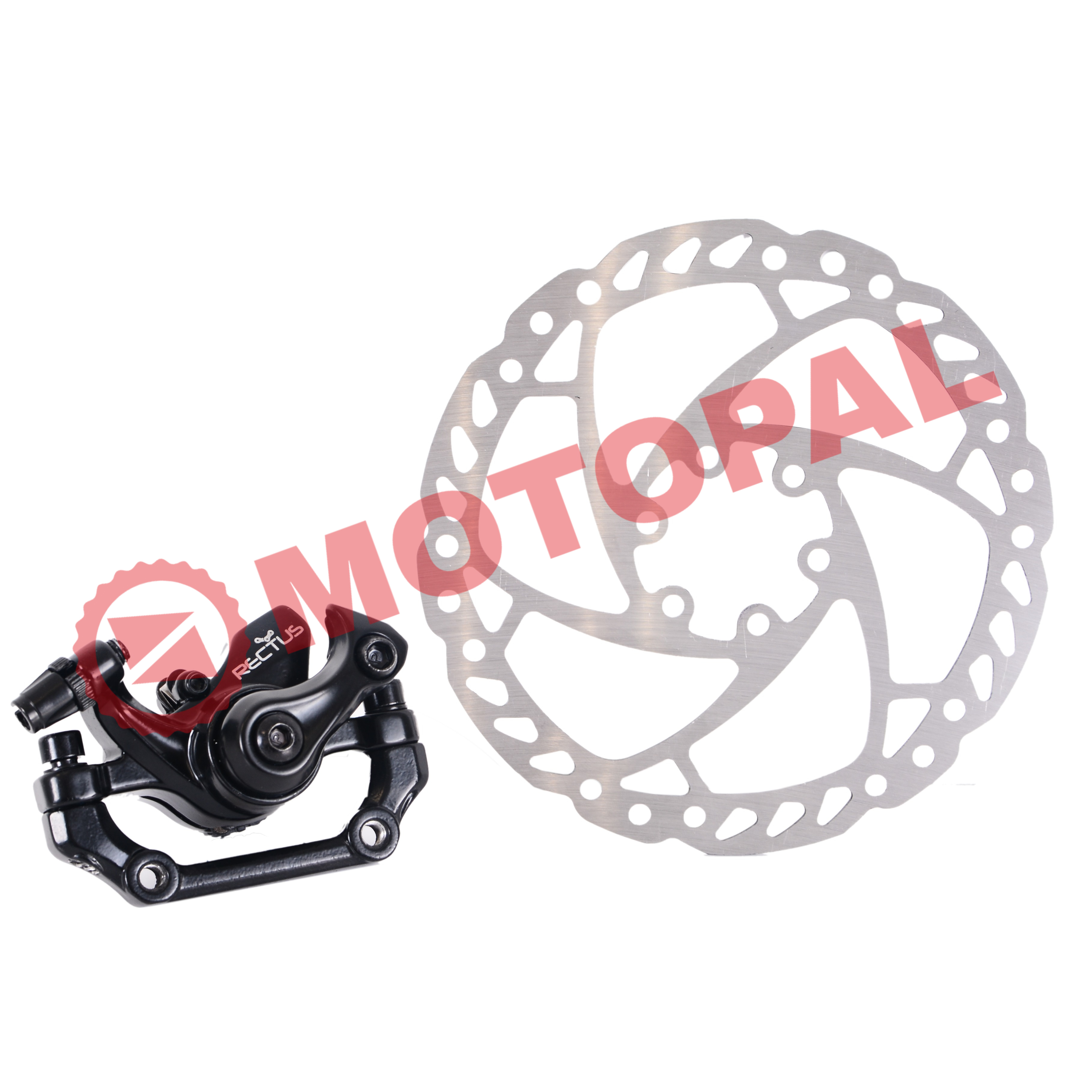 DİSK FREN ARKA + ROTOR [160MM]  RECTUS  [LOGAN DX-2005] - RKS MX25-RSIII