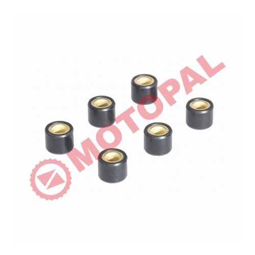 AĞIRLIK SETİ 6'LI [14gr 18x14] SCOOTER - LINHAI 200