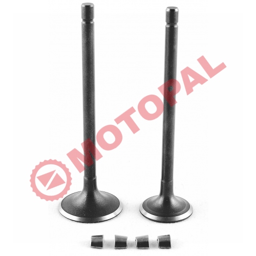 SUBAP TAKIMI [TIRNAKLI] [DQ] CG 125