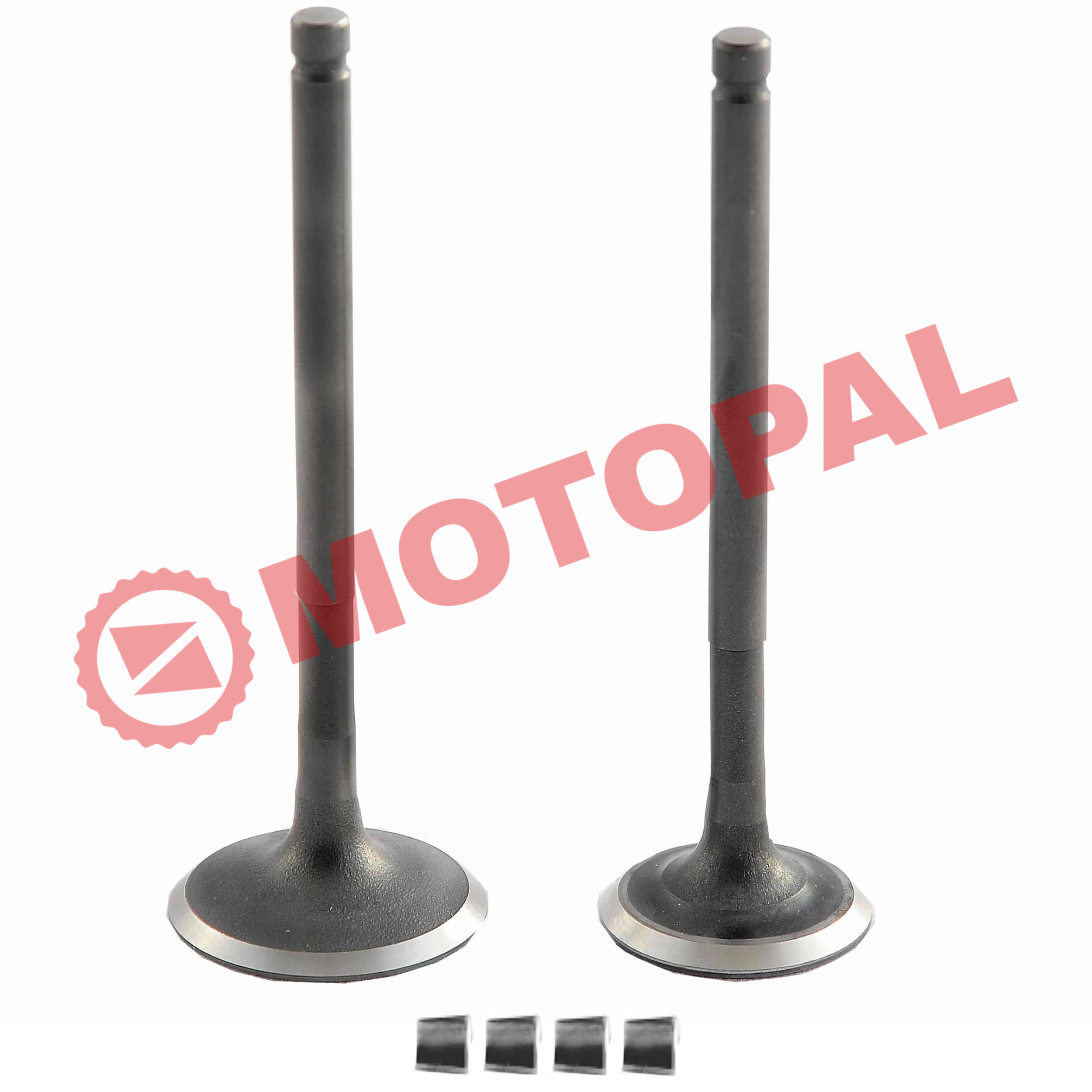 SUBAP TAKIMI [TIRNAKLI] [DQ] 100-110cc CUB