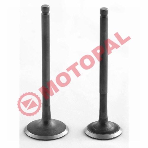 SUBAP TAKIMI [TIRNAKLI] [VTC] CBF 150