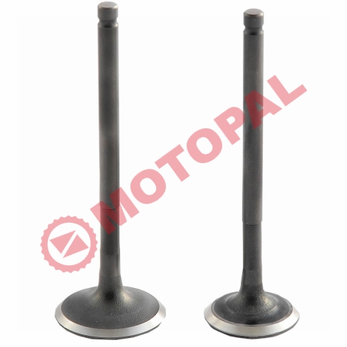 SUBAP TAKIMI [TIRNAKLI] [VTC] CUB 100-110cc