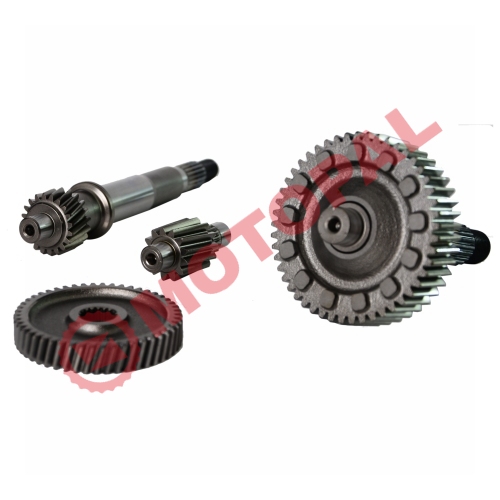 ŞANZIMAN KOMPLE  ALPHA