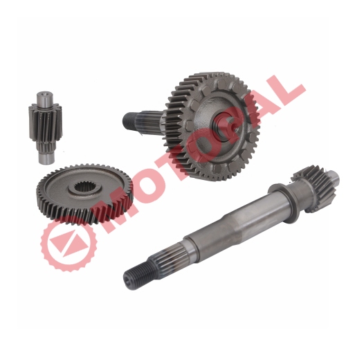 ŞANZIMAN KOMPLE  ALPHA