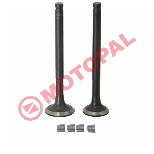 SUBAP TAKIMI [TIRNAKLI] [VTC] 80cc SCOOTER